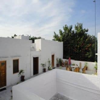 A Genuine Homestay In A Quiet Neighborhood, Jodhpur 3